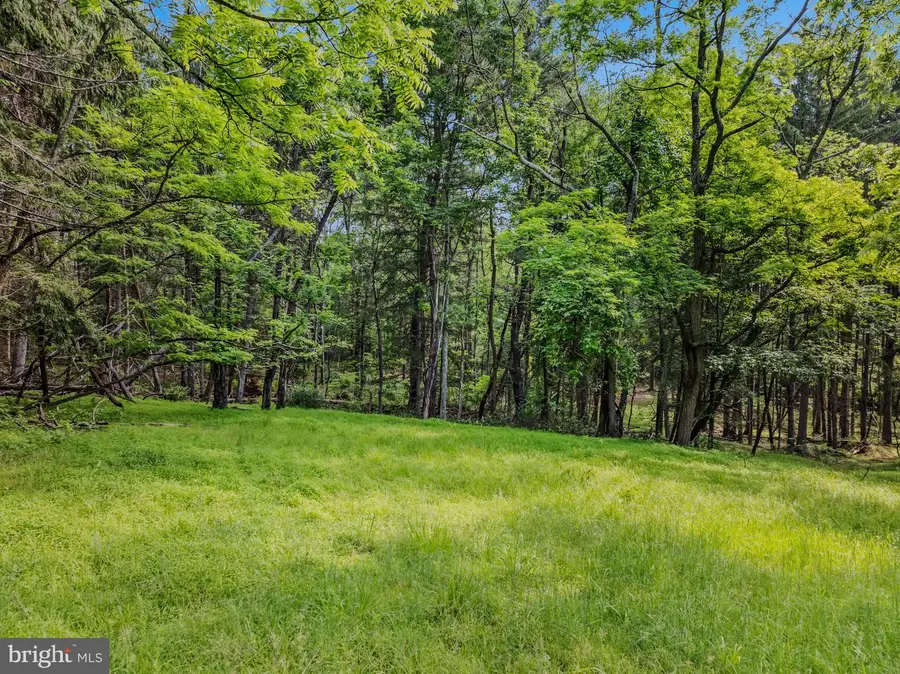 Tract 2 Grecian Ln, Hedgesville, WV 25427 - #2