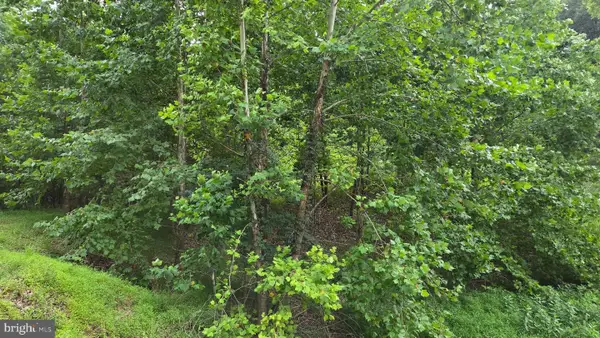 Mountain Lake Rd, HEDGESVILLE, WV 25427