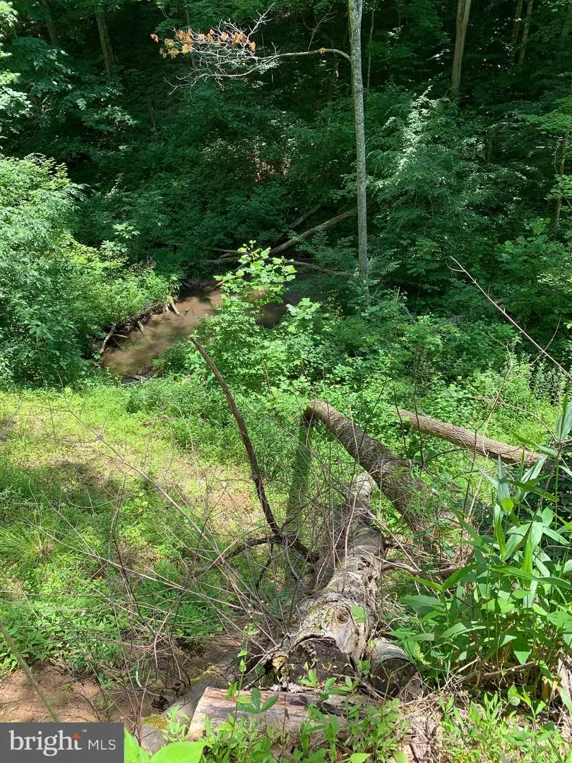 Route 5, Renick, WV 24966 - Image #2