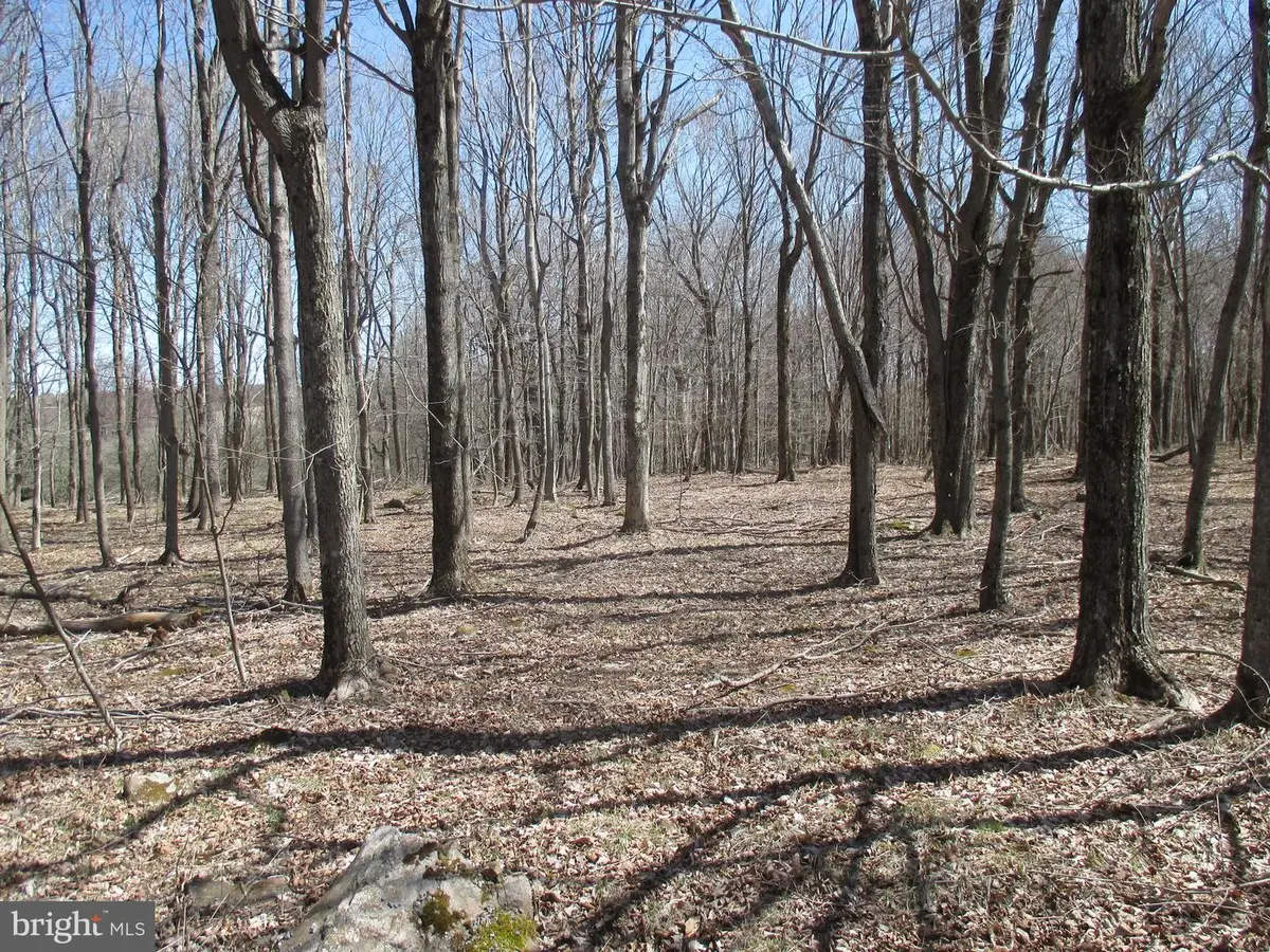 Mt Lakeside Sub Divide Mdws, Mount Storm, WV 26739 - Image #1