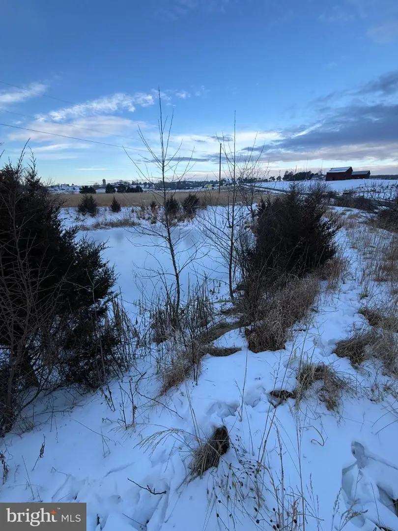 Forman Rd, Lahmansville, WV 26731 - #2