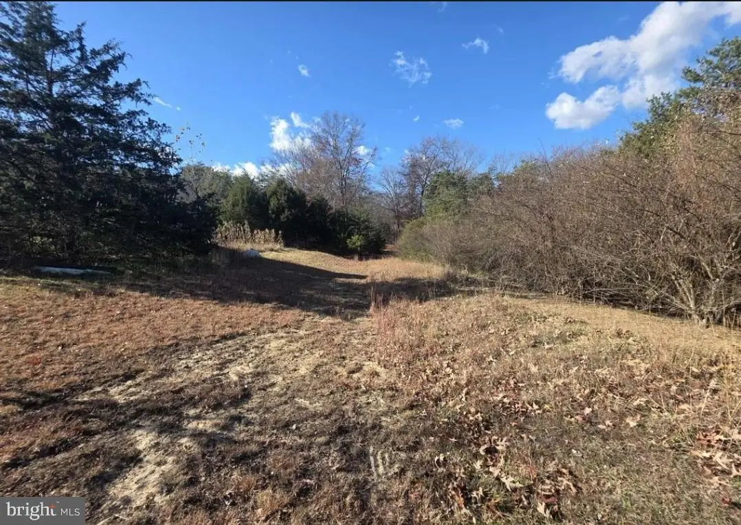 Lot 13 Yeager Ct., Petersburg, WV 26847 - #1