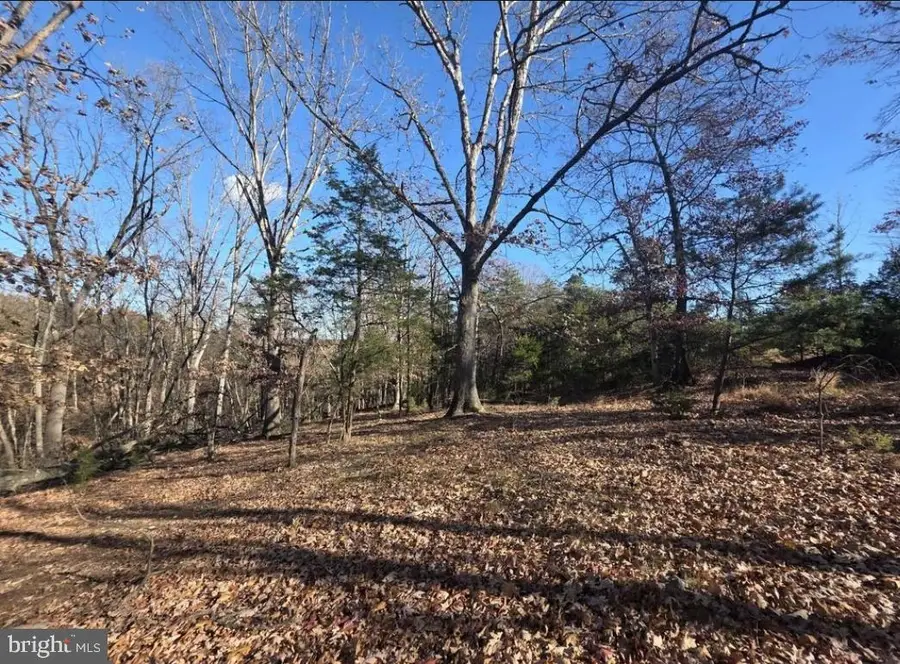 Lot 13 Yeager Ct., Petersburg, WV 26847 - #3