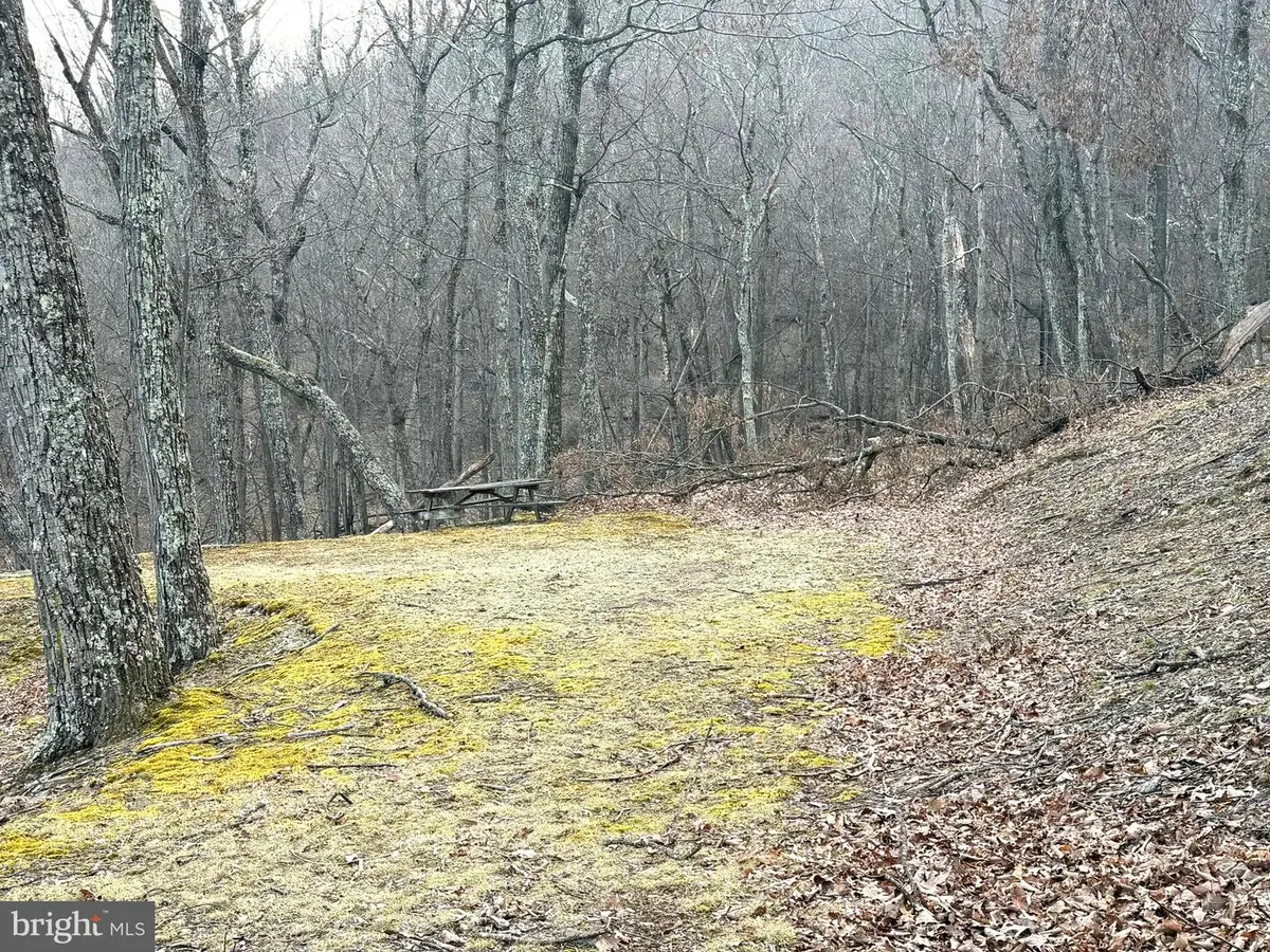 Lot 5 Preserve Rd, New Creek, WV 26743 - #1