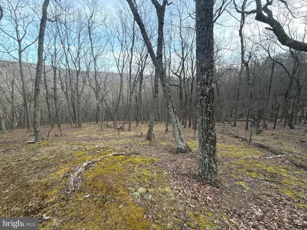 Lot 5 Preserve Rd, MAYSVILLE, WV 26833