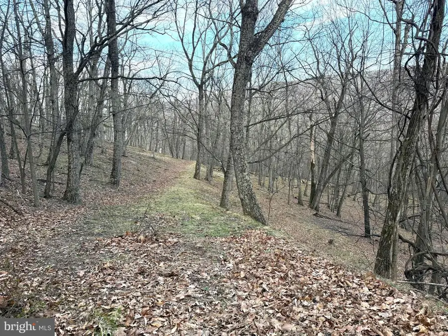 Lot 5 Preserve Rd, New Creek, WV 26743 - #2