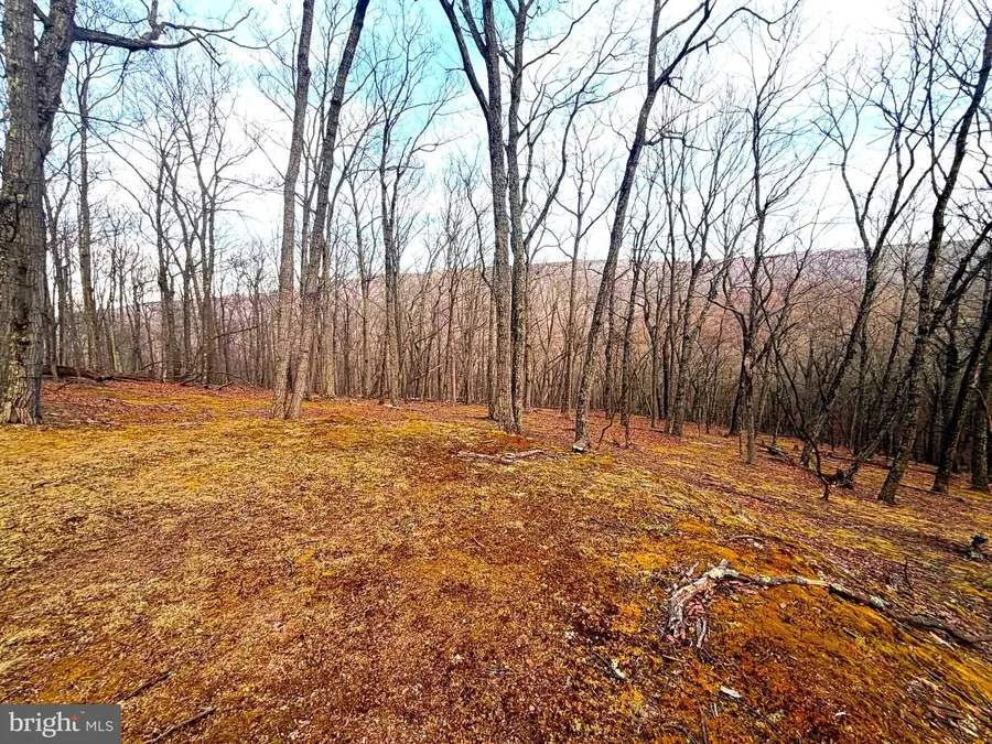 Lot 5 Preserve Rd, New Creek, WV 26743 - #3