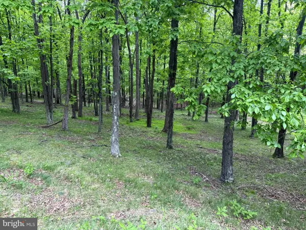 Lot 55 & 56 Sarah Lincoln Dr., NEW CREEK, WV 26743