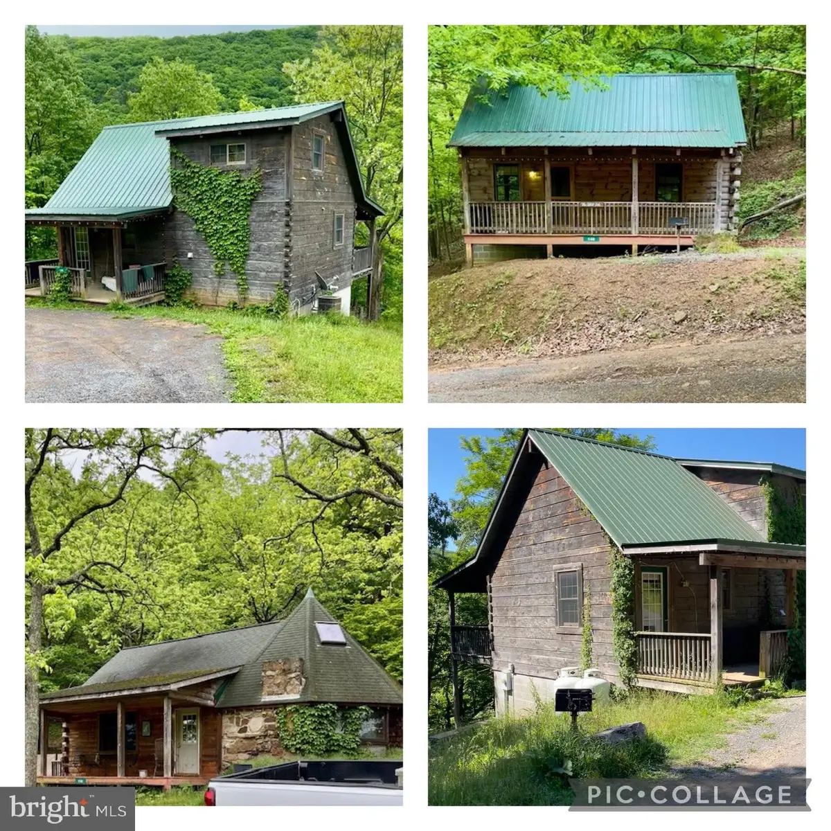 219 Fox Squirrel Ln, Cabins, WV 26855 - #1
