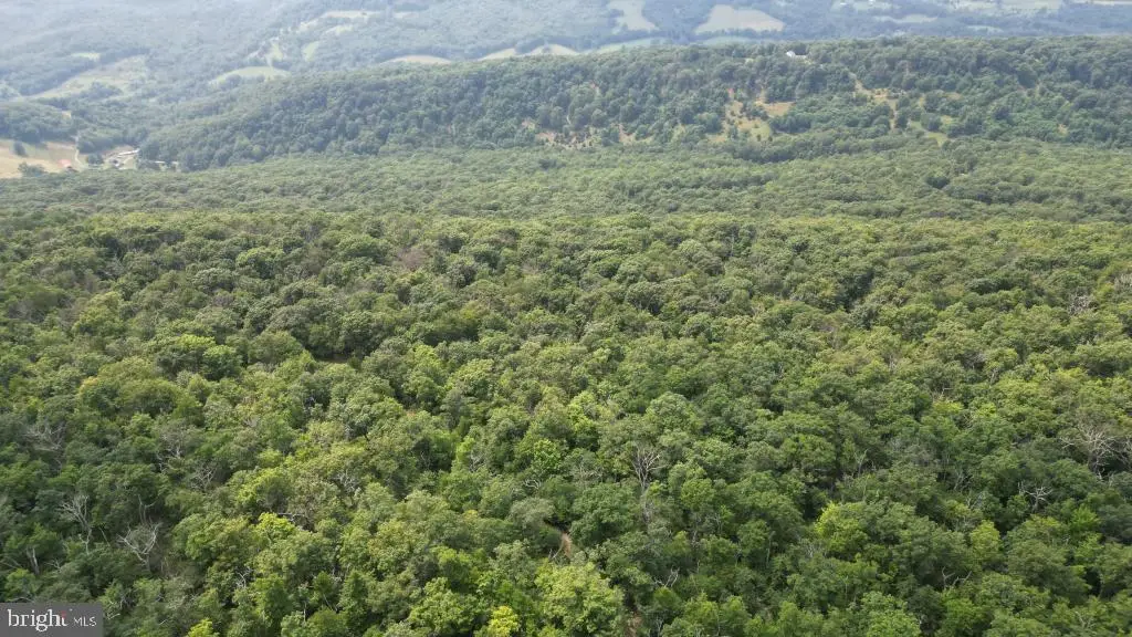 1841 Panther Rd, Maysville, WV 26833 - #1