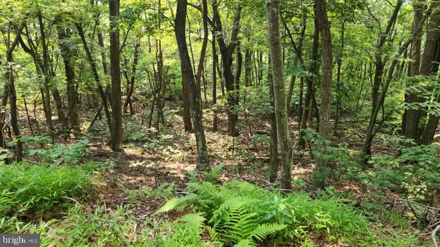 1841 Panther Rd, Maysville, WV 26833 - #3