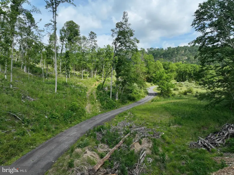 686.10 Acres Thorn Bottom Rd, Wardensville, WV 26851 - Image #3