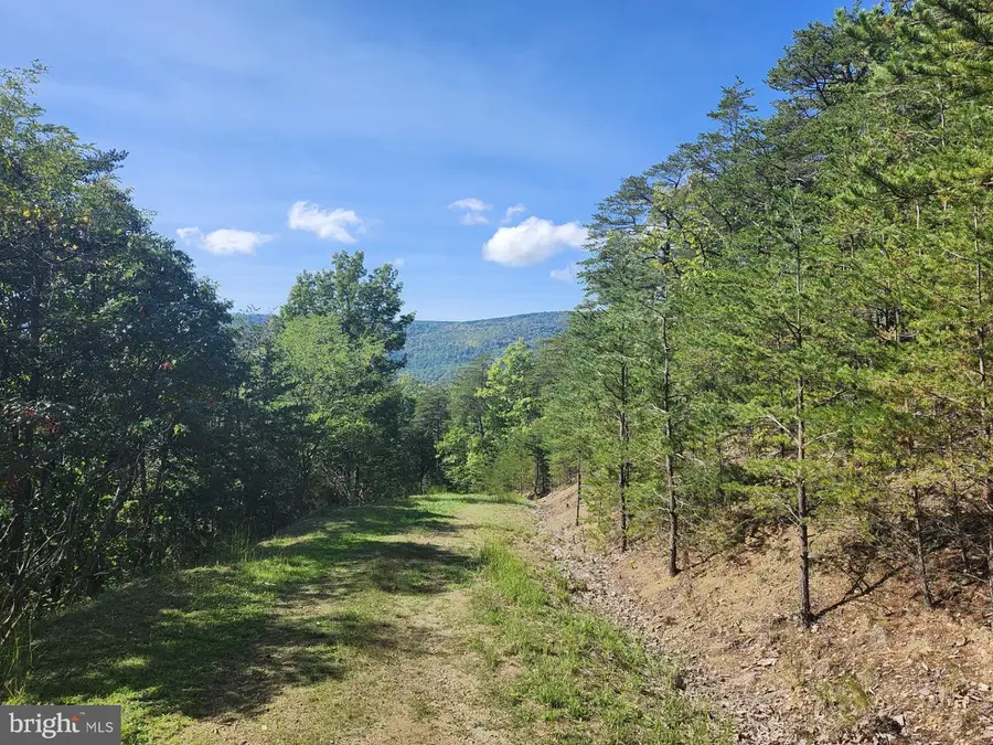 Grace Mountain Lane, Milam, WV 26838 - Image #2