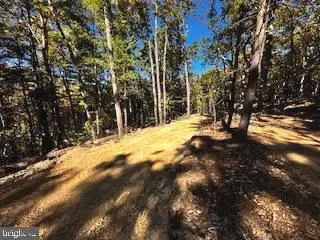 0 Lower Arkansas Road, Baker, WV 26801 - Image #2