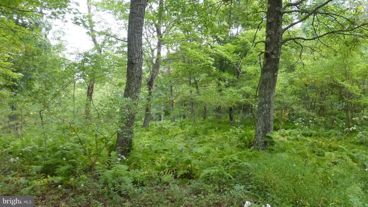 Lot 18 Top Of The Mountain Rd, Moorefield, WV 26836 - Image #1