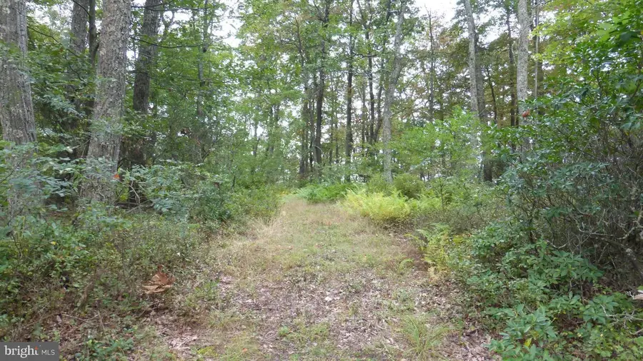 Lot 18 Top Of The Mountain Rd, Moorefield, WV 26836 - Image #2