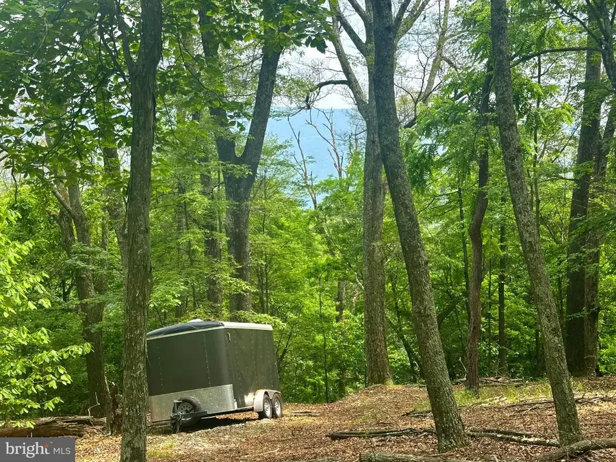 5620 High Knob Loop, Old Fields, WV 26845 - Image #2