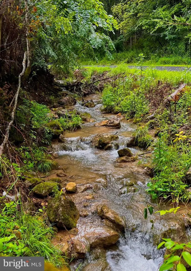 2563 Dumpling Run Rd, Moorefield, WV 26836 - Image #1