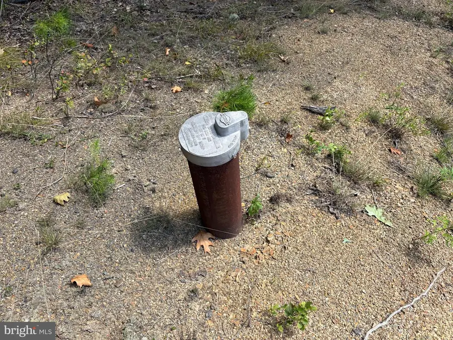 20.32 Ac Trough Rd, Moorefield, WV 26836 - Image #3