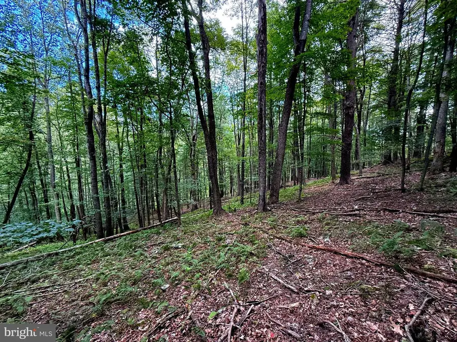 Lot 20 Wits End, Mathias, WV 26812 - Image #3