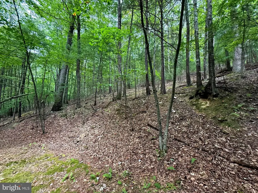 Lot 18b Wits End, Mathias, WV 26812 - Image #2