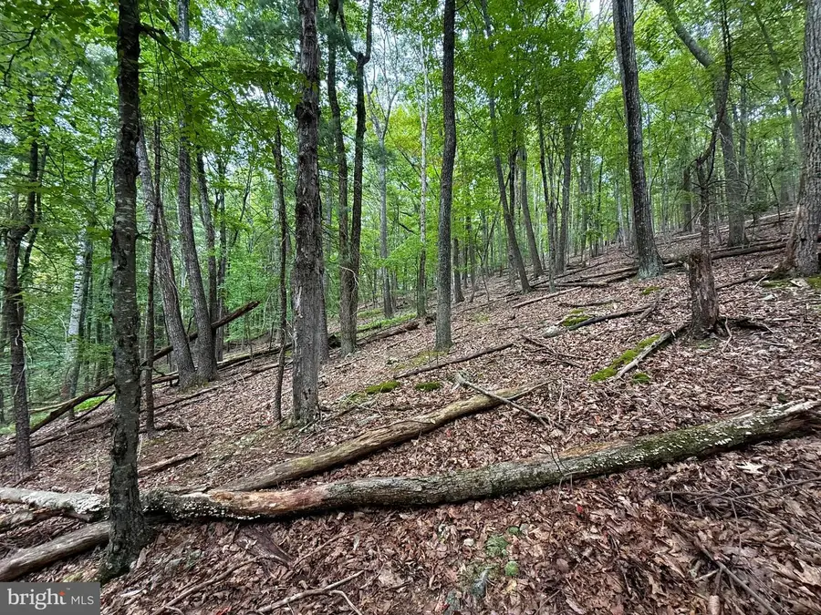 Lot 18b Wits End, Mathias, WV 26812 - Image #3