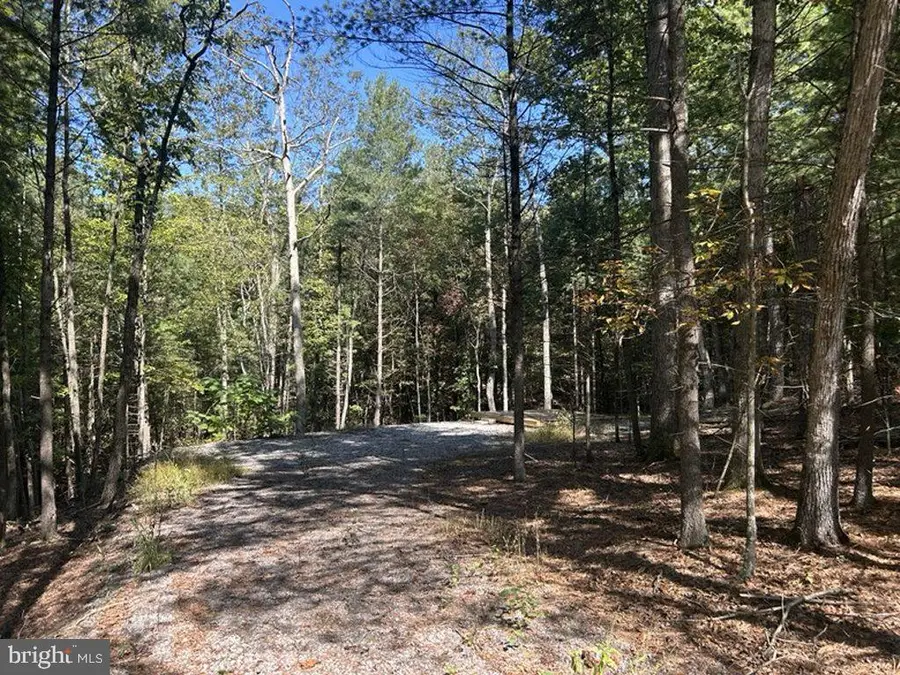 553 Lookout Ridge Dr, Wardensville, WV 26851 - Image #2