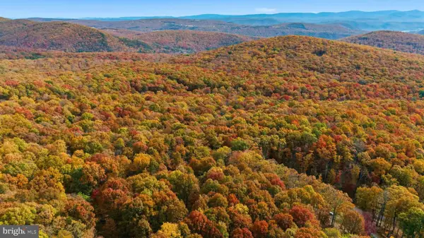 Lot 46 And 48 White Oak Pass, MATHIAS, WV 26812