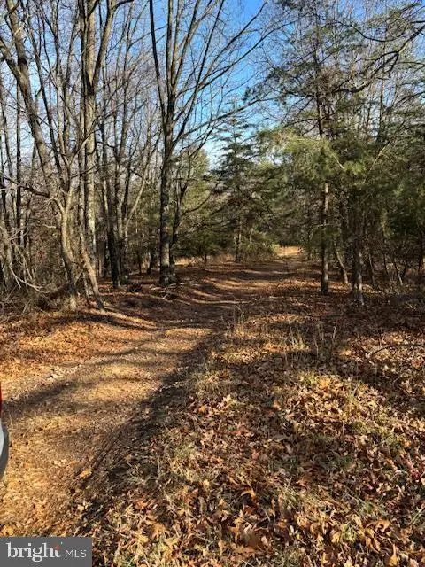 Matthews Mountain Loop, Mathias, WV 26812 - Image #3