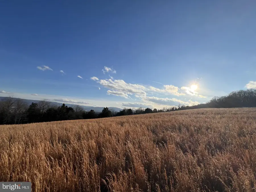 38.43 Acres Howard Sions Rd, Moorefield, WV 26836 - #2