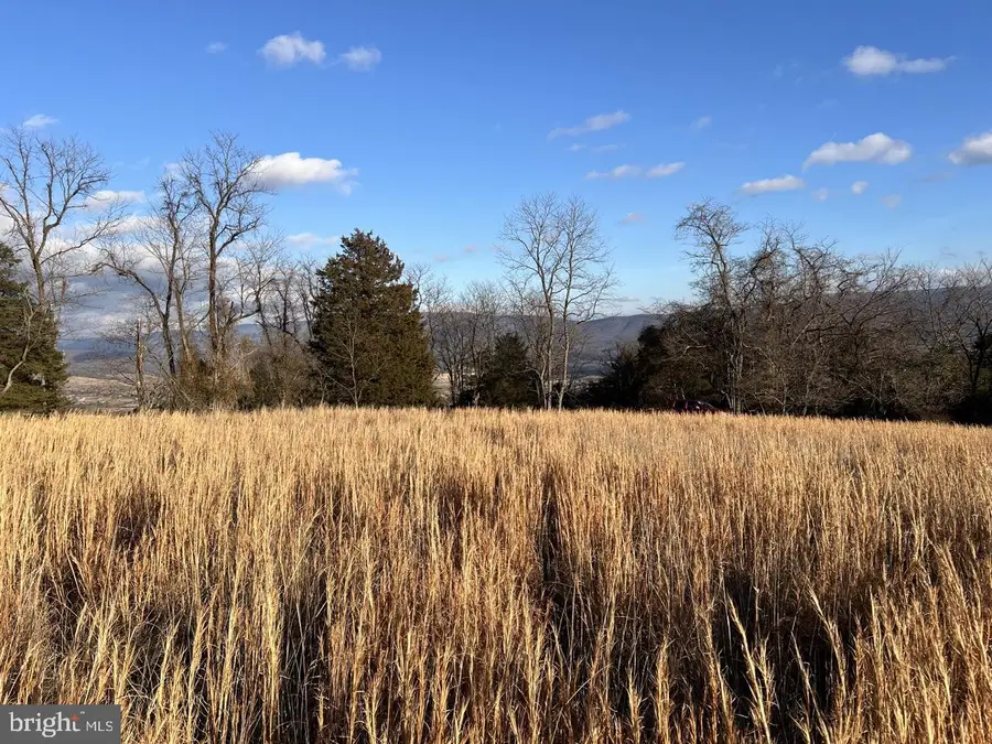 38.43 Acres Howard Sions Rd, Moorefield, WV 26836 - #3