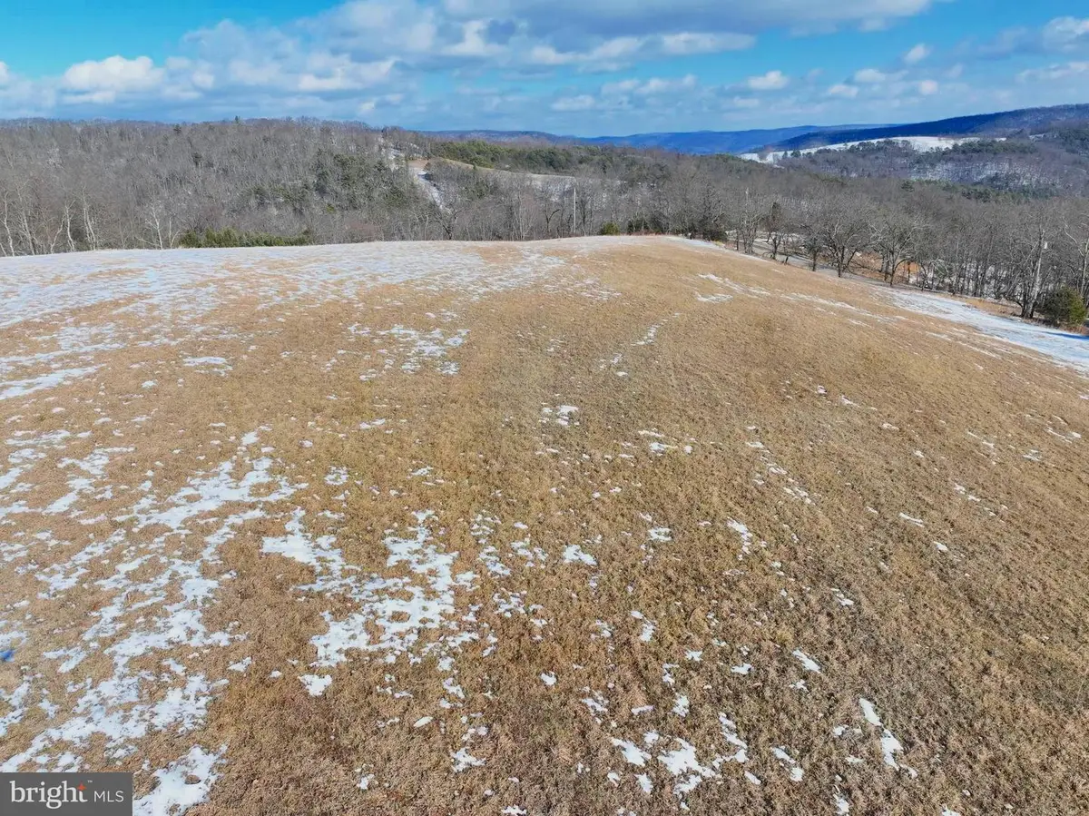 17.55 Shenandoah Mtn Rd, Mathias, WV 26812 - #1