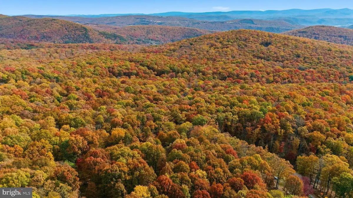 White Oak Pass, Mathias, WV 26812 - #1