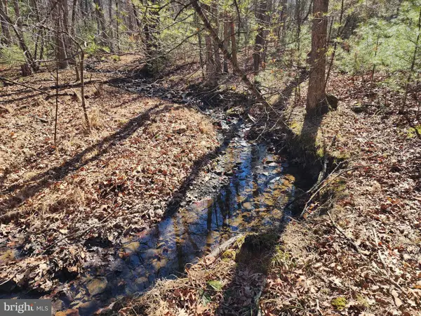 228 Oak Dr, MATHIAS, WV 26812