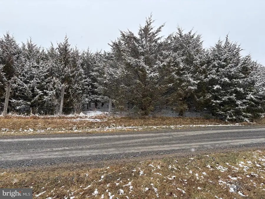 Lot 4 Wisteria Lane, Old Fields, WV 26845 - #2