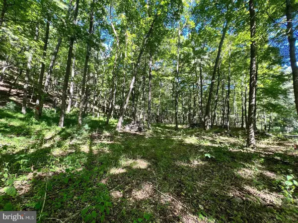 Lot 4 Section 7 High Knob Rd, OLD FIELDS, WV 26845