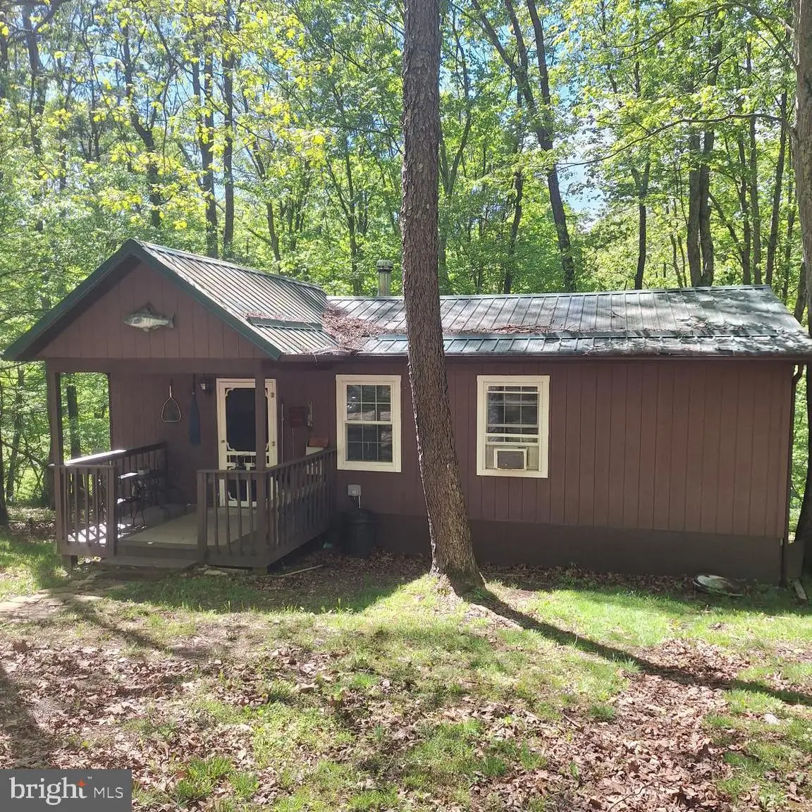 217 Meadow View Dr, Lost City, WV 26810 - #1