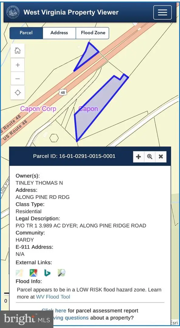 Pine Rd Rdg, Wardensville, WV 26851 - #2