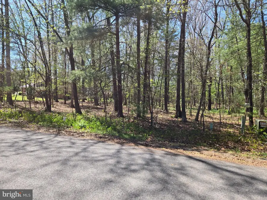 Warden Circle Rd, Wardensville, WV 26851 - #3