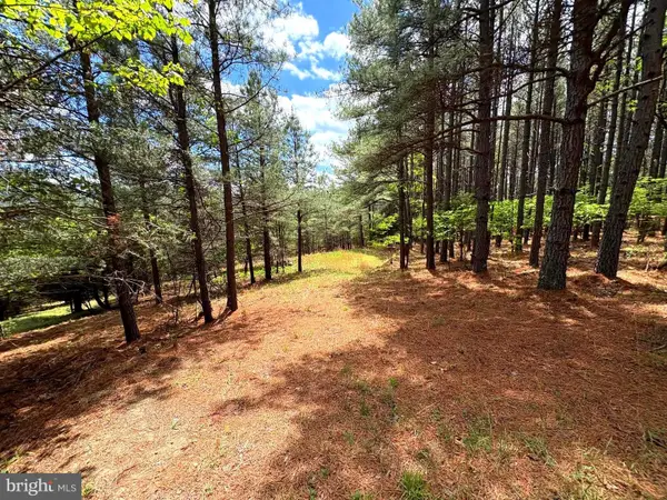 20.74 Ac Lot 10 Ashton Woods, MOOREFIELD, WV 26836