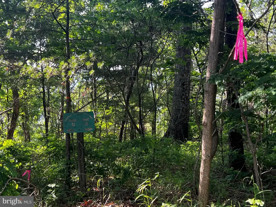 Lot 52 Grace Mountain, Moorefield, WV 26836 - #2