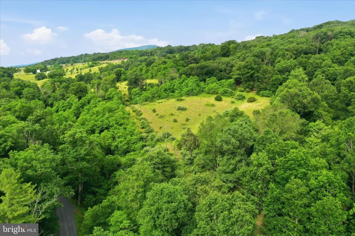 11.95ac Luxemburg Rd, Baker, WV 26801 - #1
