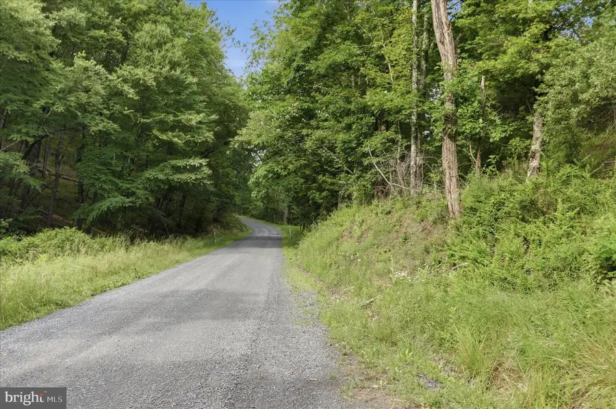 11.95ac Luxemburg Rd, Baker, WV 26801 - #2