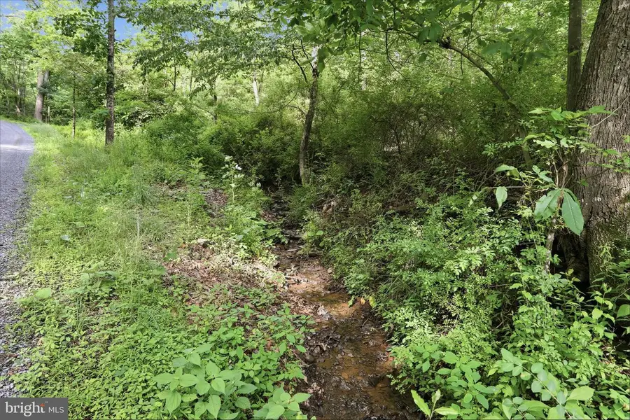 11.95ac Luxemburg Rd, Baker, WV 26801 - #3