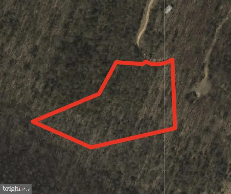Lot 7 Berry Mountain Ln, Mathias, WV 26812 - #1