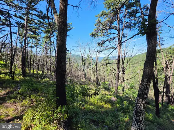 Lot 75 Hunters Ridge Trl, MOOREFIELD, WV 26836