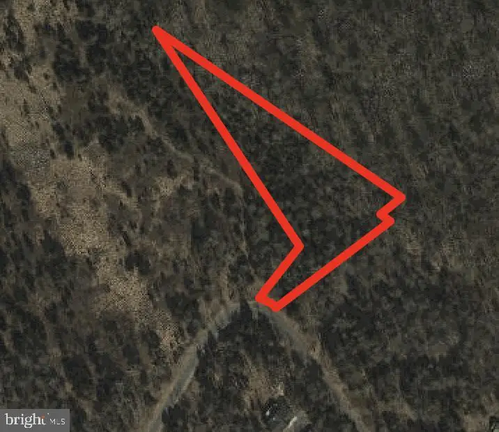 Lot 19 2ac Brooke Trout Dr, Wardensville, WV 26851 - #2
