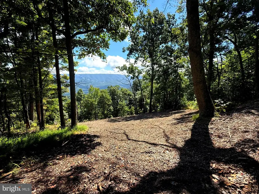 5620 High Knob Rd, Old Fields, WV 26845 - #2