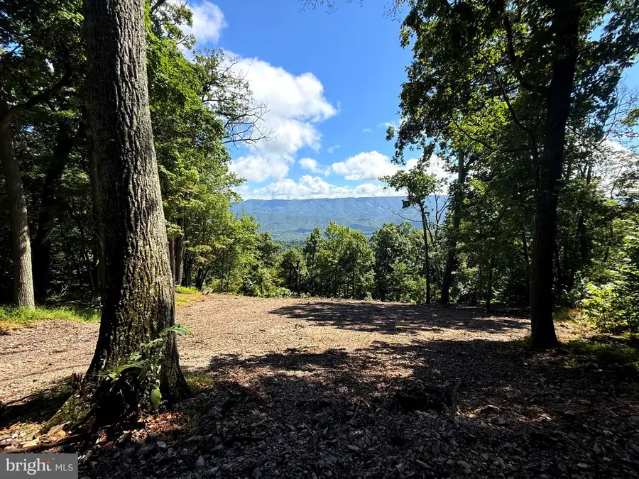 5620 High Knob Rd, Old Fields, WV 26845 - #3