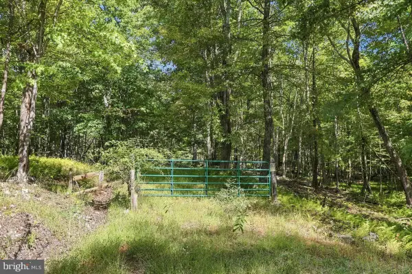 Lot 46 Old Poplar Dr, BAKER, WV 26801